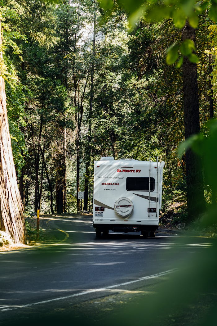 White RV traveling through lush forest on a winding mountain road.